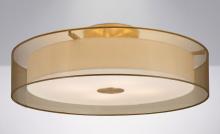 <if condition='$lang eq cn'>吸顶灯<else />Ceiling</if>