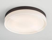 <if condition='$lang eq cn'>吸顶灯<else />Ceiling</if>