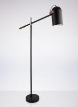 <if condition='$lang eq cn'>落地灯<else />Floor Lamp</if>